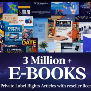 3 Million Ebooks + 3 Million PLR Articles Bonus Content with Reseller Rights