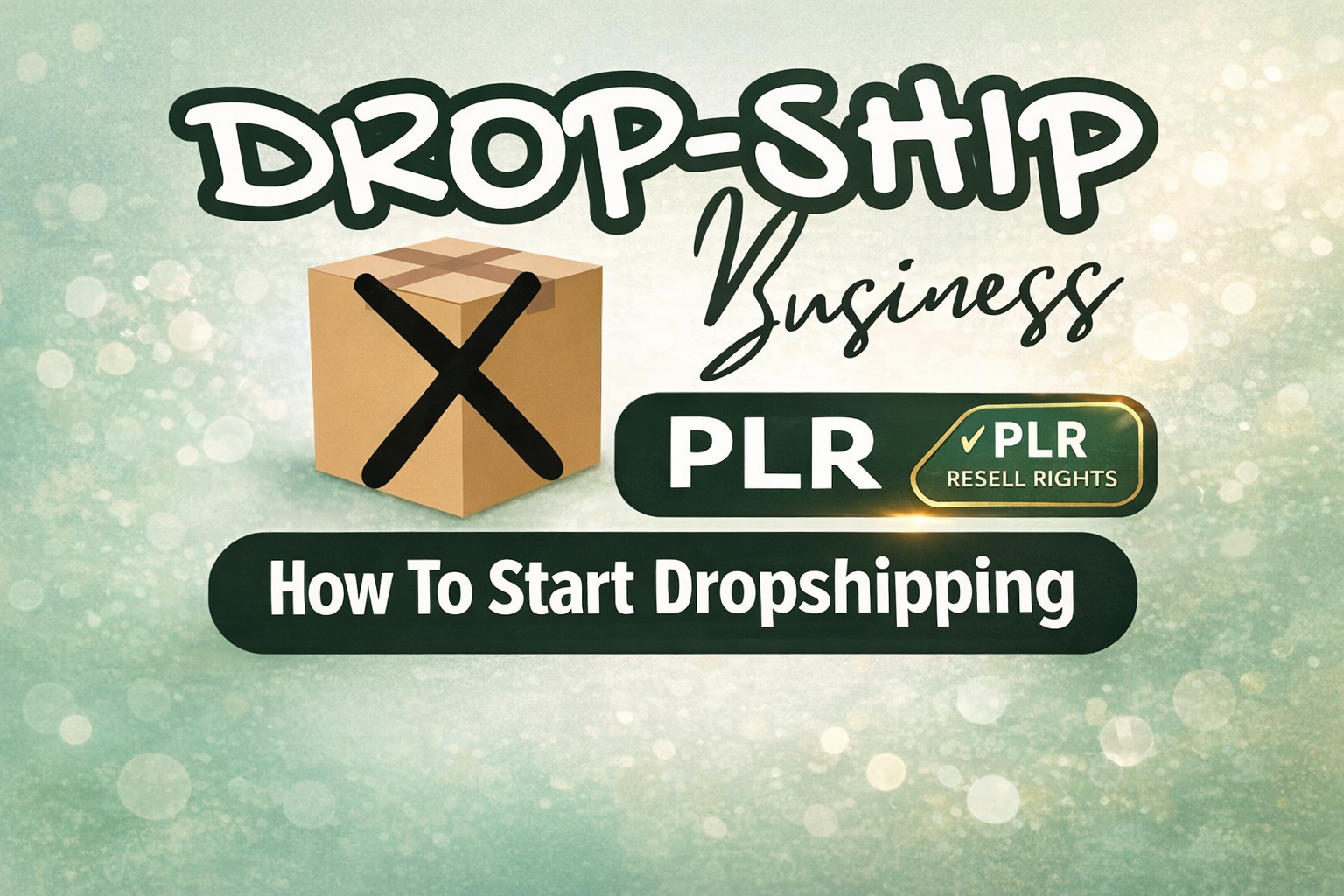 Start a Profitable Dropshipping Business Today – 20-Page PLR eBook