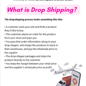 Start a Profitable Dropshipping Business Today – 20-Page PLR eBook