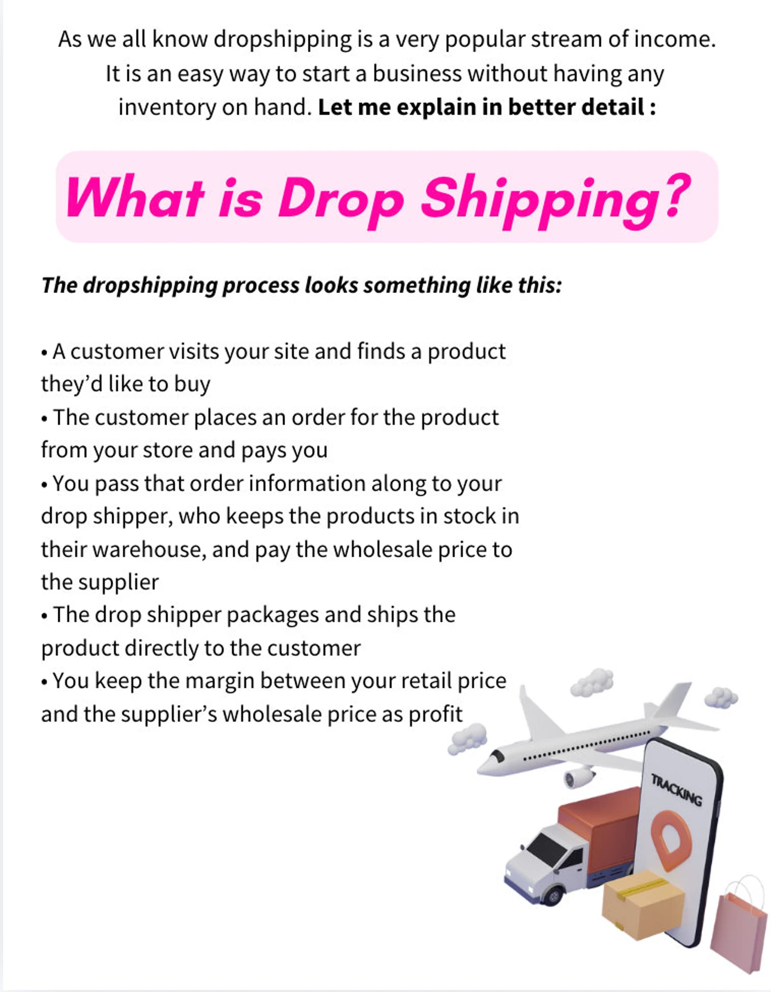 Start a Profitable Dropshipping Business Today – 20-Page PLR eBook - Image 2